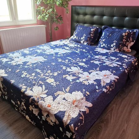 Right Choice Room 安特卫普 外观 照片
