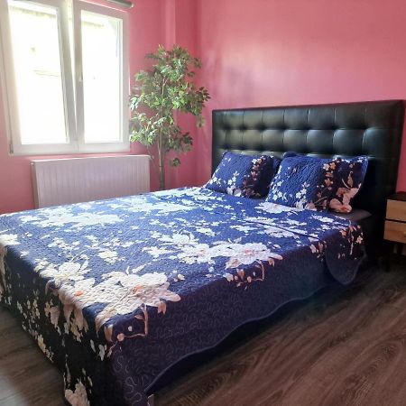 Right Choice Room 安特卫普 外观 照片
