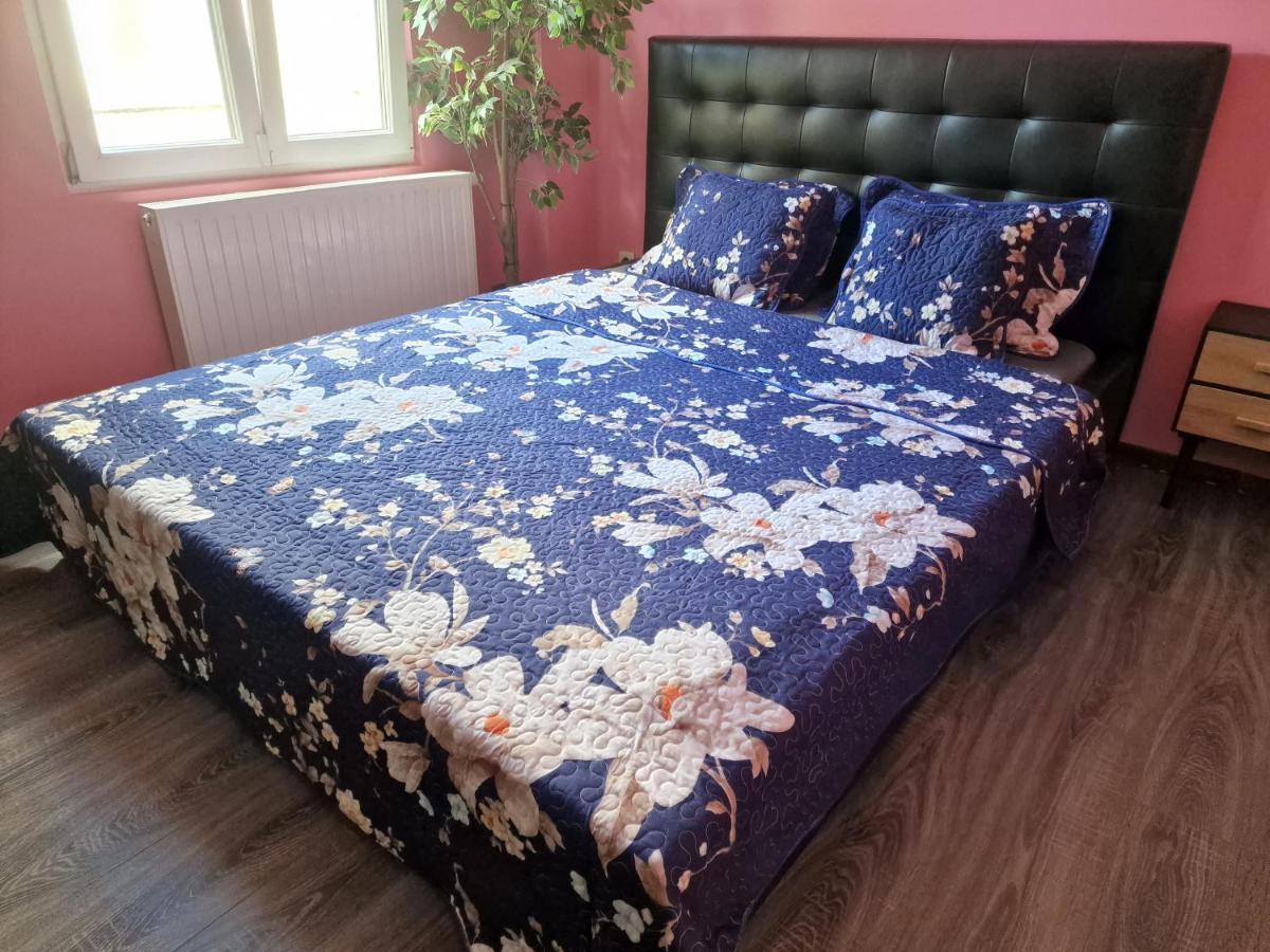 Right Choice Room 安特卫普 外观 照片